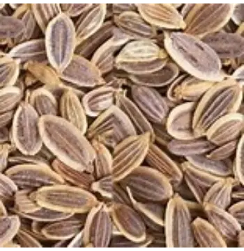 Natural Dill Seeds